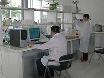 團隊展示五